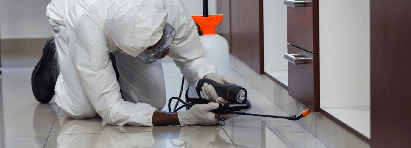 Spotless Home Secrets